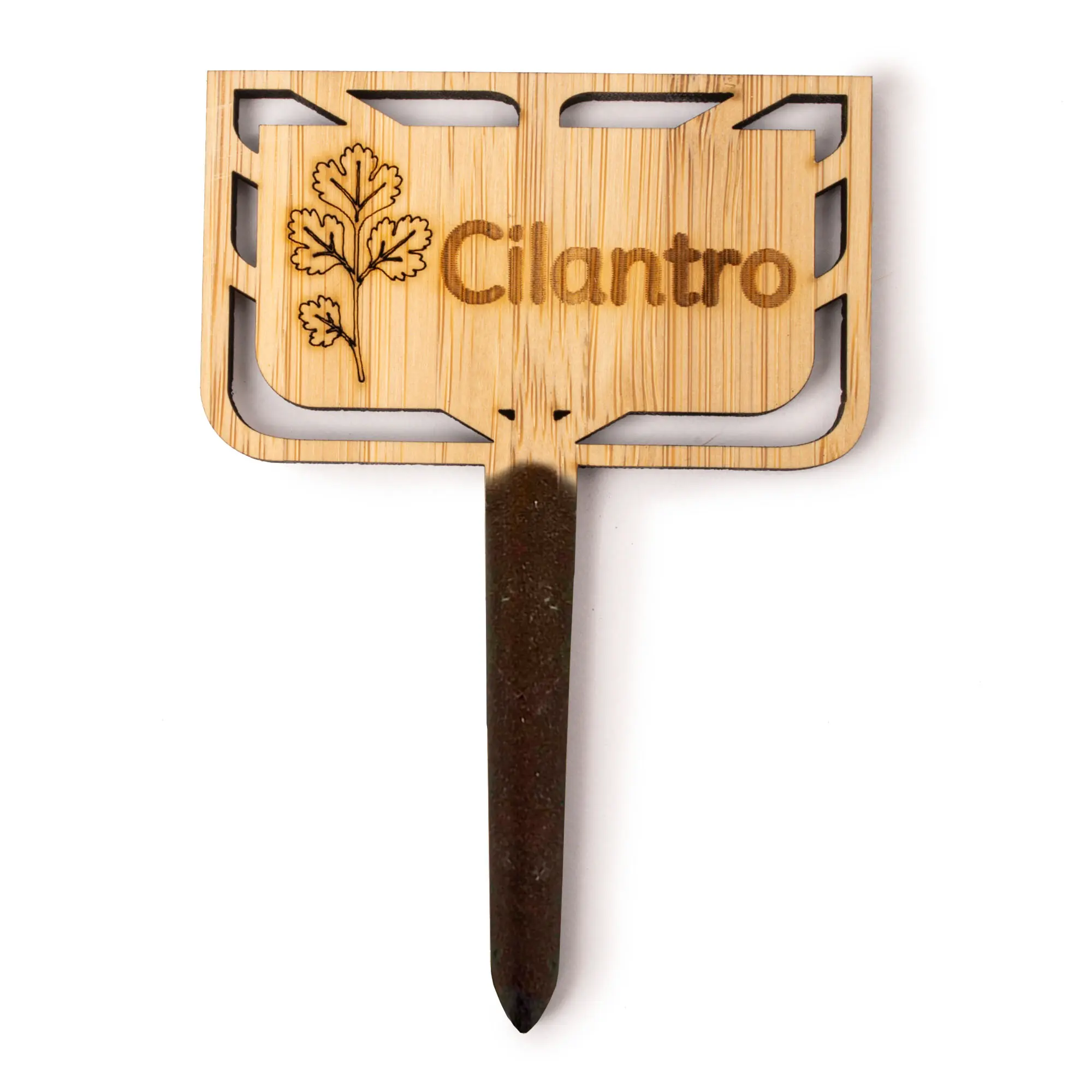 Herbs Cilantro Bamboo Premium Stake Signs - High-Quality Bamboo Plant ...