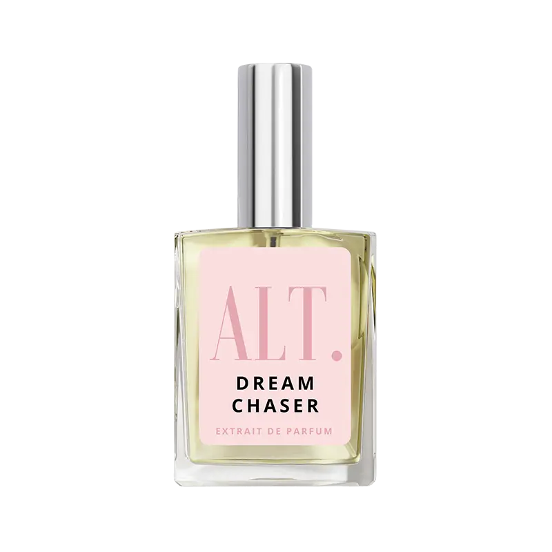 Dream Chaser