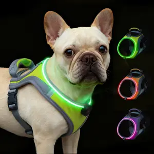Light Up Dog Harness for Small  Medium Dogs Rechargeable, LED Dog Vest Harness, Adjustable Illuminated Glow in Dark Dog Harness for Puppy  Night Safety Walking