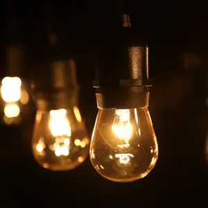 TORCHSTAR® Pro Retro Outdoor String Light - 50 Feet 24 Sockets