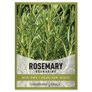 Rosemary Seeds For Planting Home Herb Garden Great For Tea and Cooking Indoor and Outdoor