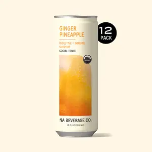 NA Functional Tea - Ginger Pineapple, Digestion + Balance (12 x 12oz)