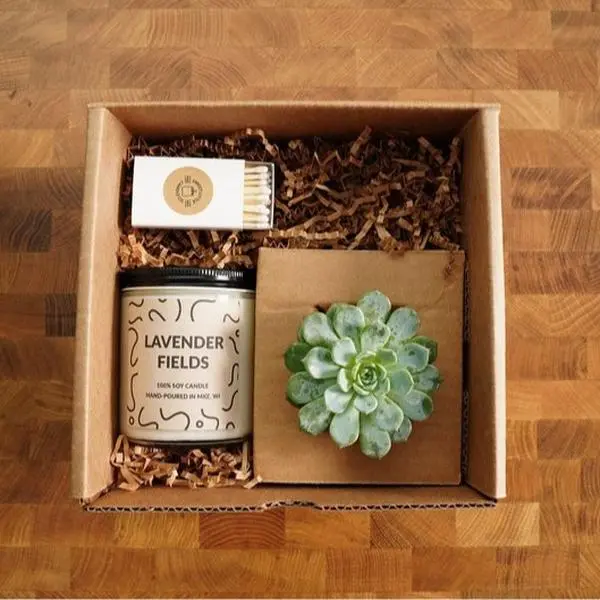 Succulent & Candle Gift Box, a Soy Candle with a Succulent, Birthday Gift Box_70