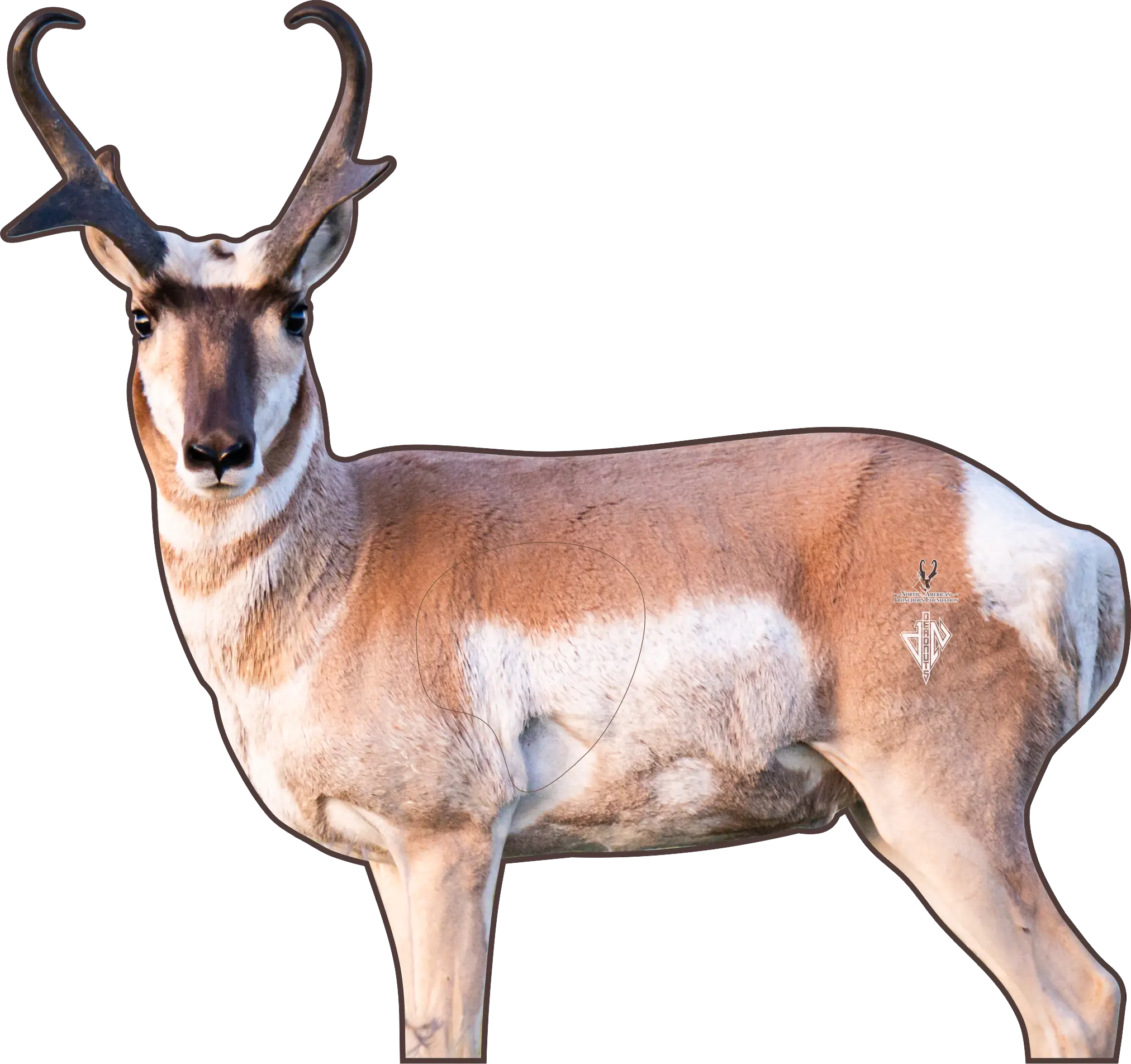 North American Pronghorn Foundation Conservation Series 2D Target 2026