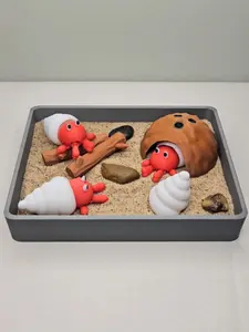 Hermit Crab Zen Garden - Desk Accessory - Desk Decor