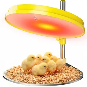 Chicken Coop Heater, 45W Energy-Saving Brooder Heater for Chicks, with Adjustable Height and Angle, Safe, Quiet & Easy to Clean for Small Farms
