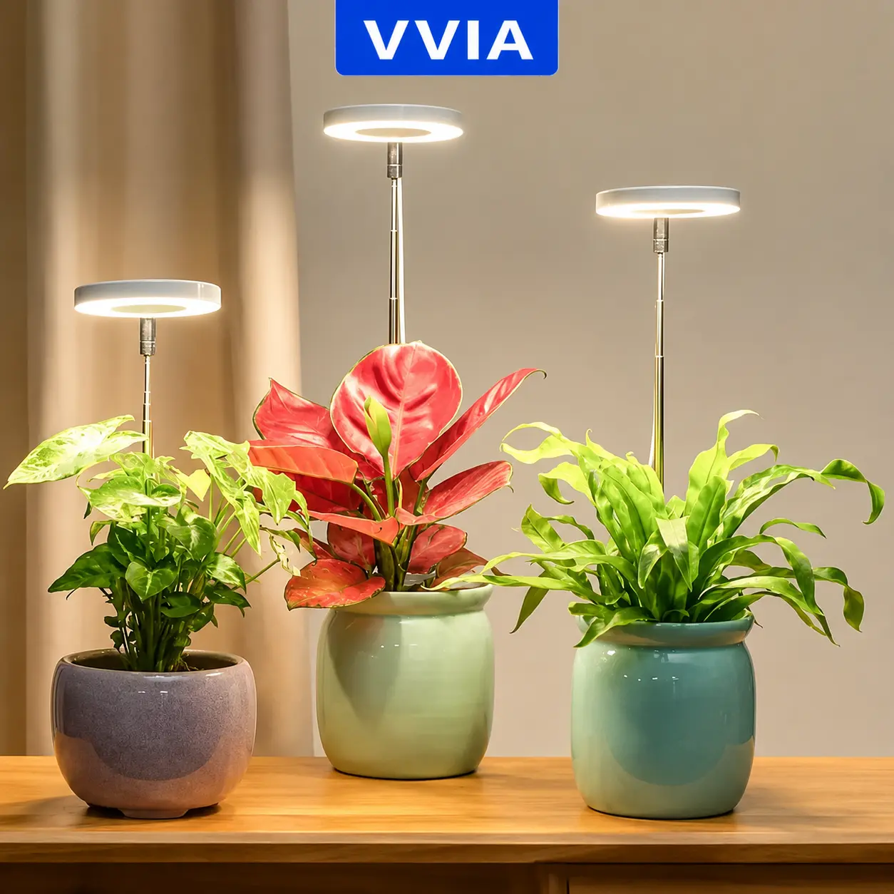 Full Spectrum Indoor Plant Grow Light - Enhanced Detachable Stand, Height Adjustable, 3-Level Dimmer, 3/9/12H Timer - Perfect for Small Plant Growth Usb light Flower Pot