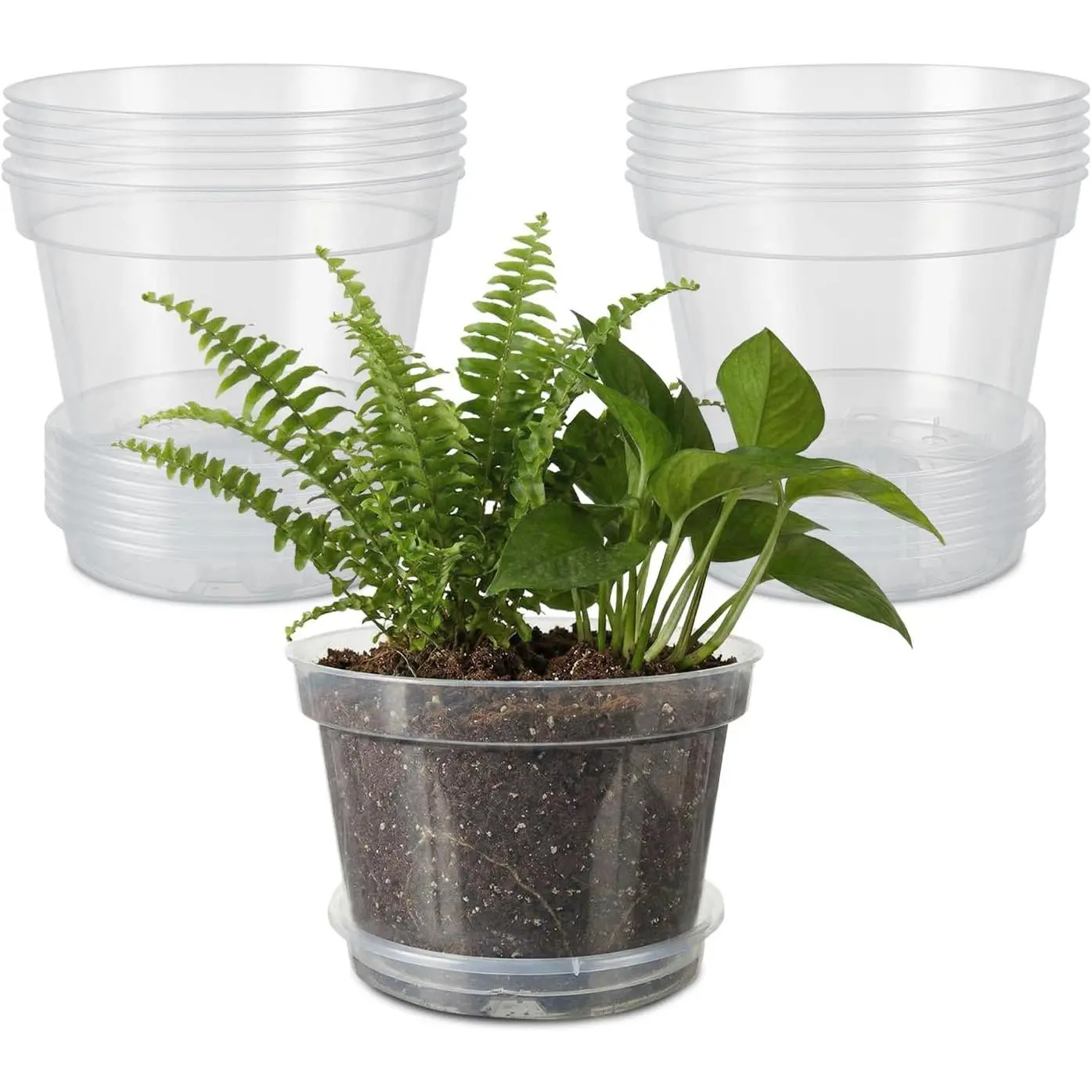Garvee Clear Nursery Pots with Saucers – 8 Inch Thickened Plastic Plant Pots, Drainage Holes, 12-Pack Seedling Planters for Indoor & Outdoor Plants, Transparent