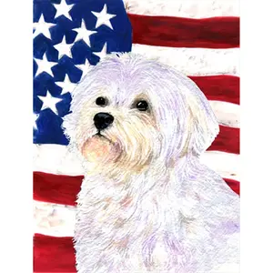 Carolines Treasures  28 x 40 in. USA American Flag with Maltese House Size Canvas Flag