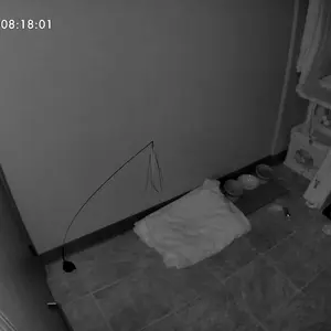 Furbo Mini 360° [Nanny Edition - Unlock with Paid Subscription] Smart Pet Camera with AI Alerts & 2K QHD Resolution 3mo Plan Required