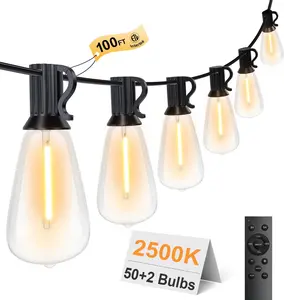 100FT Outdoor String Lights with Remote Included, Support Timer with 50 Shatterproof ST38 LED Edison Dimmable Bulbs, 2500K Warm White, Waterproof, Perfect for Backyard, Patio, Garden, Deck, Party and Xmas Decor #springtok Flexibility Customization