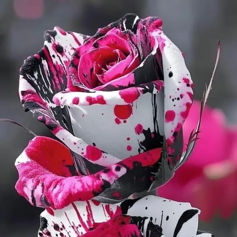 Unique Painted Roses – Add a Splash of Color to Your Garden