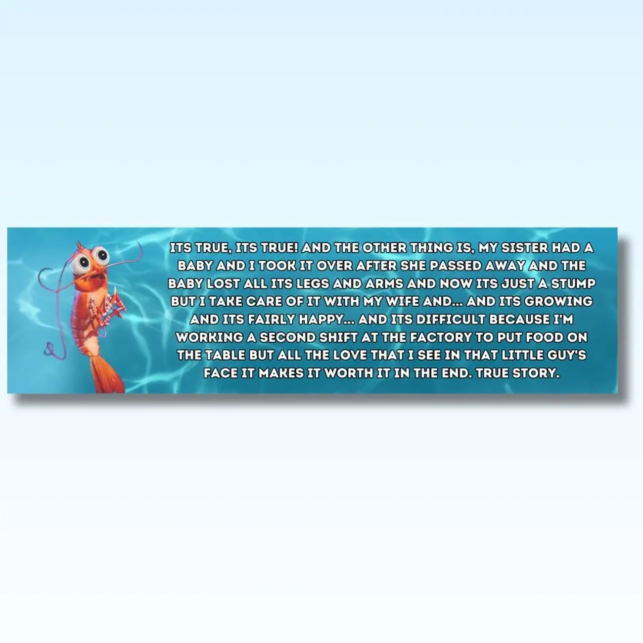Shrimp Shark tale funny speech l Funny bumper sticker, gifts, decal, logo for car