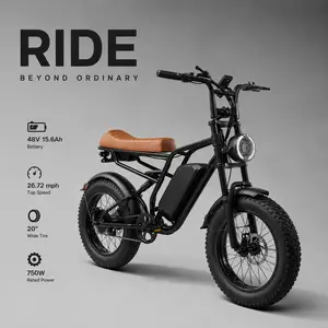 750W Retro Electric Bike for Adults, 20” Fat Tire Ebike, 26.7MPH Top Speed, 48V15.6Ah Battery, 31 Miles Range, LCD Display, Dual Disc Brake, Off-Road Urban Cruiser