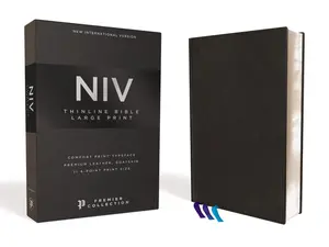 NIV, Thinline Bible, Large Print, Premier Collection, Art Gilded Edges, Comfort Print