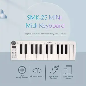 Mini25 Portable 25-Key USB MIDI Keyboard MIDI Controller With 25 Velocity Sensitive Keys 8 RGB Backlit Pads 8 Knobs