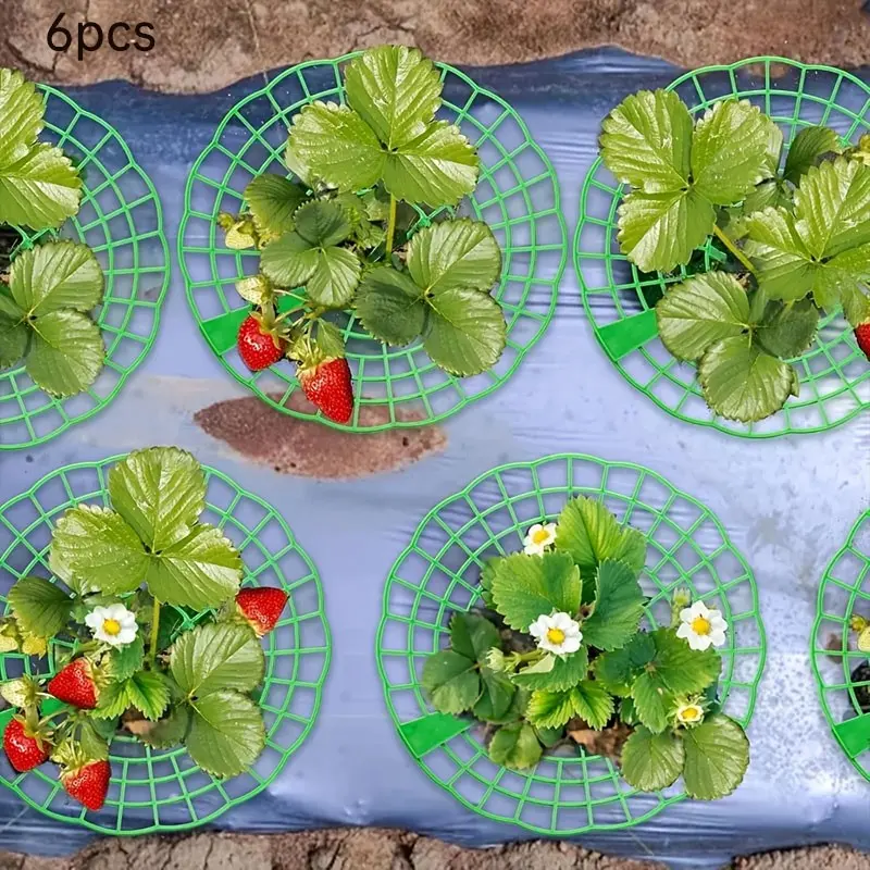 6-Piece Strawberry Plant Stand with 3 Sturdy Legs, Durable Fruit Support for Potted Strawberries, Anti-Rotting Design, Plant Pot Holders