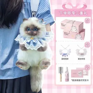 Plush cat toy, small cat doll, backpack, birthday gift, new year gift for girls and girlfriends.