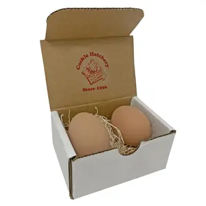 Ceramic Nest Eggs (2ct) (Brown)