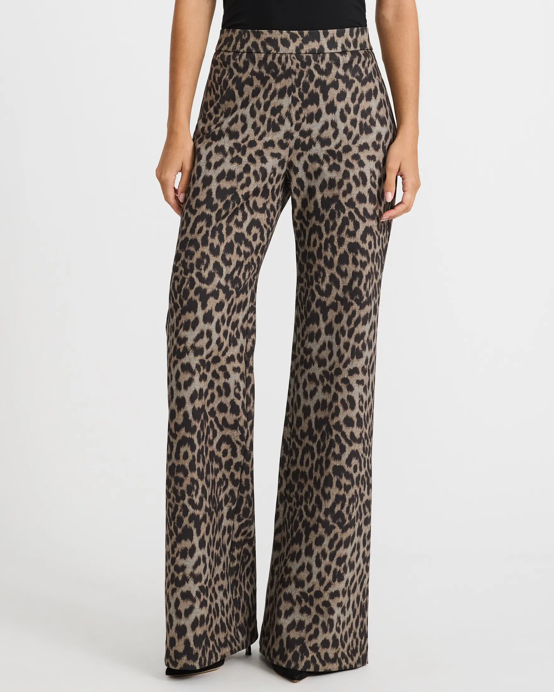 Express Leopard Pull-On High Waisted Flare Trouser in Signature Ponte