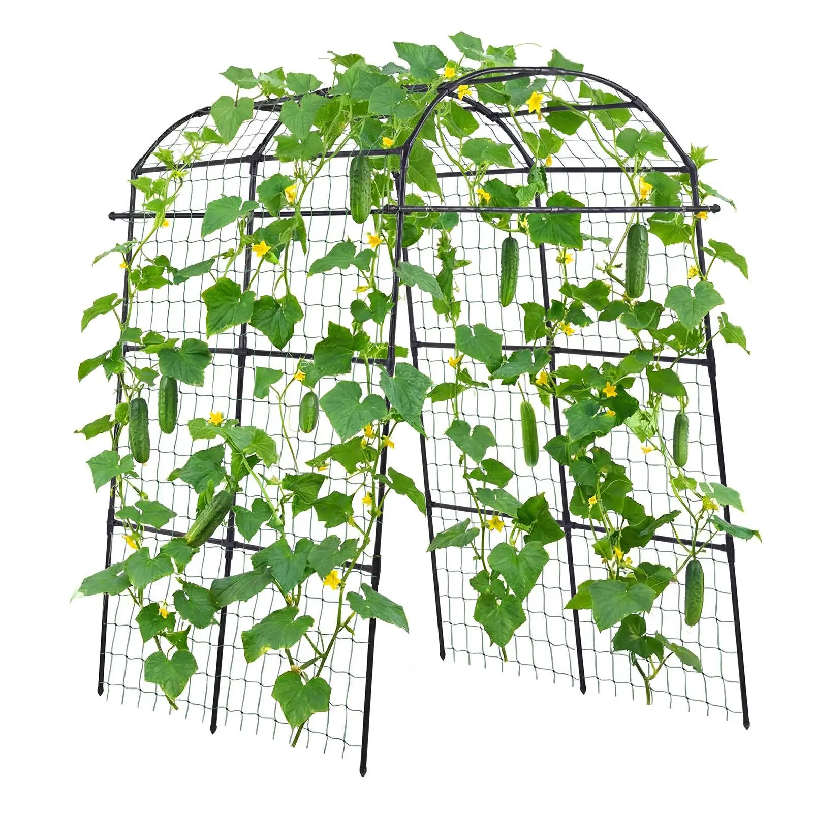 【SummerFinds】VEVOR Cucumber Trellis, U-Shape Garden Trellises for Raised Bed, Metal Arch Plant Support for Vine, Climbing Plants Outdoor, Peas, Beans, Zucchini, Tomato, Squash, Flower (70.87 x 44.09 x 82.99 in)