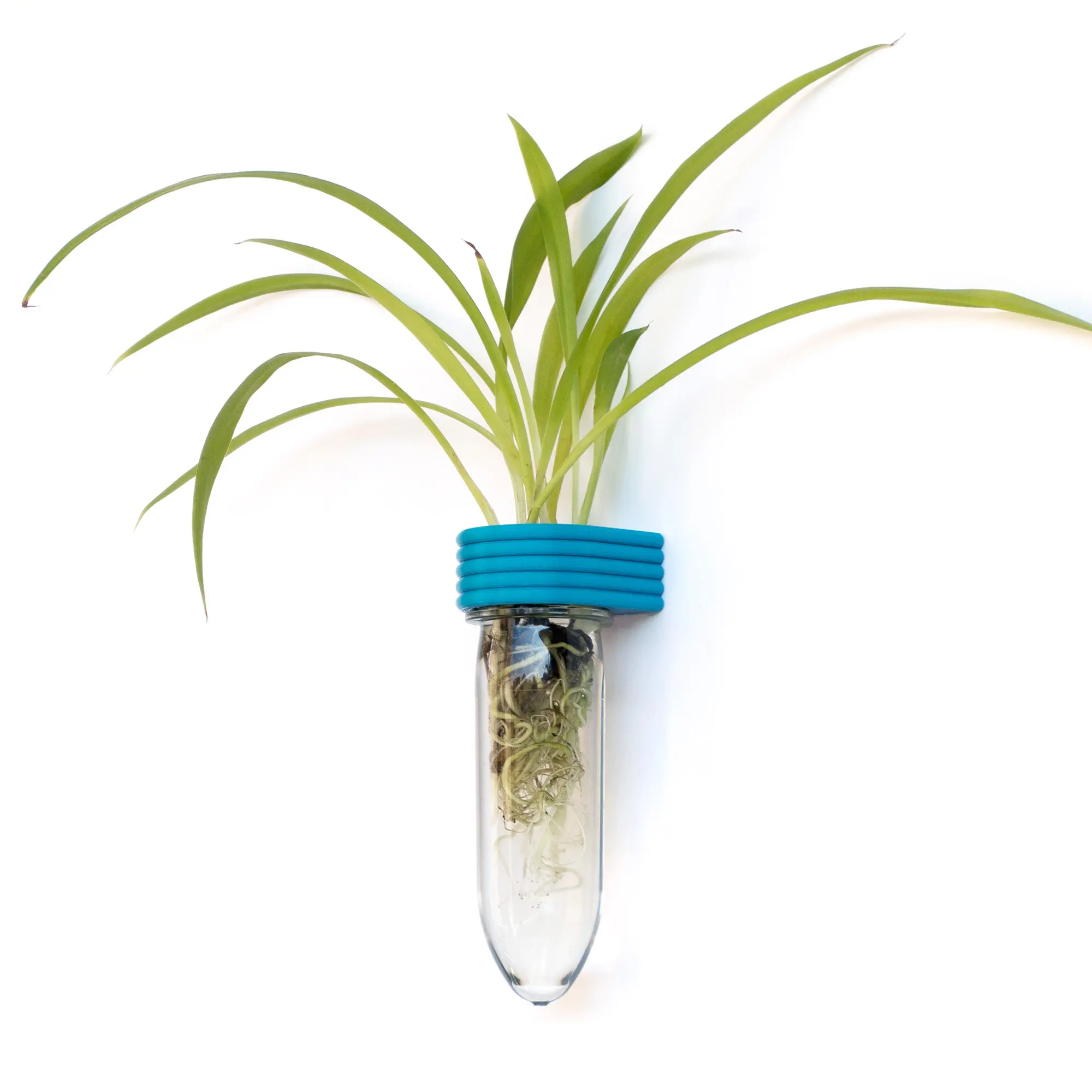 Roota Planters 5.3" Plant-Based 3D Printed Upcycled Eco-Friendly Modern Cylinder Propagation Tubes - Magnetic Wall/Fridge Mounted Indoor Plant Pots, Hanging Containers for Cuttings, Dorm Rooms & Kitchens Cutting to Decor