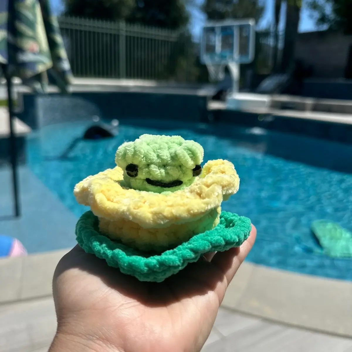 Pop up frog crochet plushie amigurumi stuffy handmade