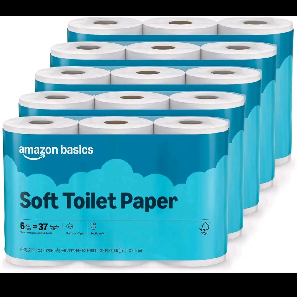 paper toilet