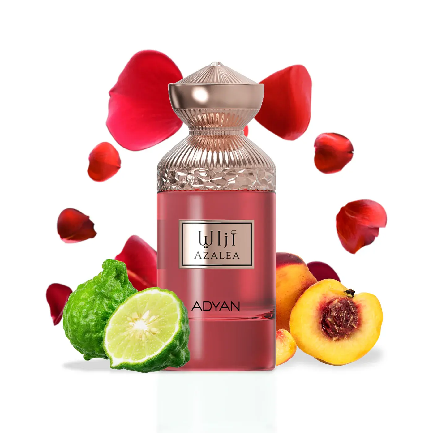 ADYAN Azalea by Adyan 100ML Eau de Parfum - Sicilian Bergamot, Violet, Pink Pepper, Tuscany Iris, Rose, Agarwood, Leather, Musk, Haitian Vetiver, Peach