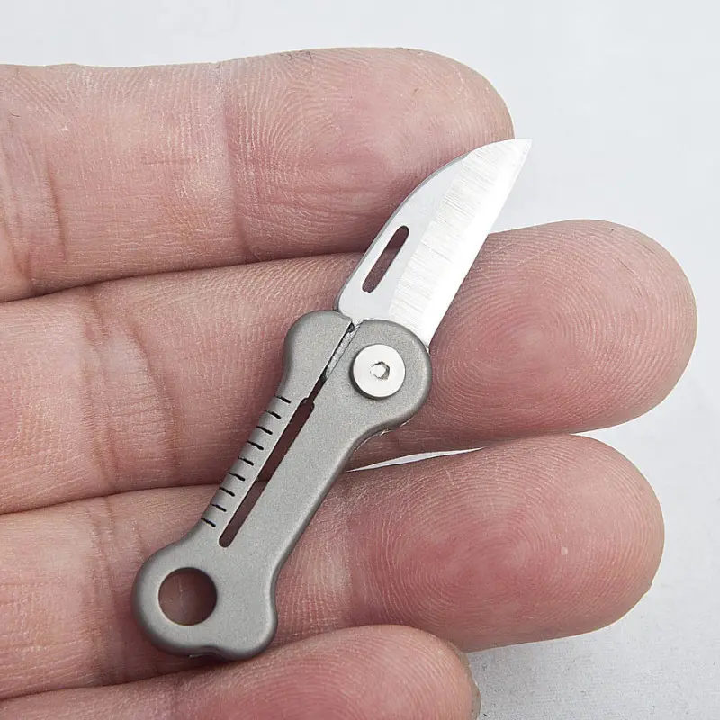Tiny Bone Shape Pocket Knife with Titanium Alloy Handle, EDC Mini Folding Package Knife Keychain, Ultra Compact and Lightweight for Daily Carry, Cute Small Knife, #fathers day gift