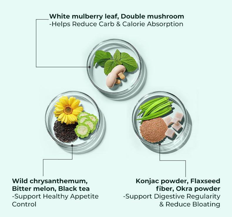 OXYENERGY 16-in-1 Herbal Nutrition Blend | Plant-Based Ingredients | 30 Packets