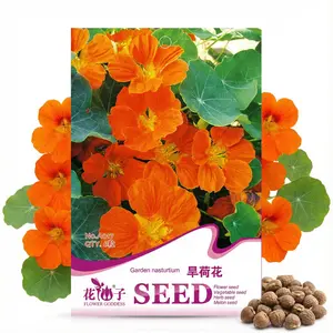 Nasturtium Seeds Dwarf Tall Trailing Mix 250+ Edible Flower Seeds for Planting Outdoors Fast Germination, Low-Maintenance Climbing & Trailing Nasturtium (Tropaeolum majus)