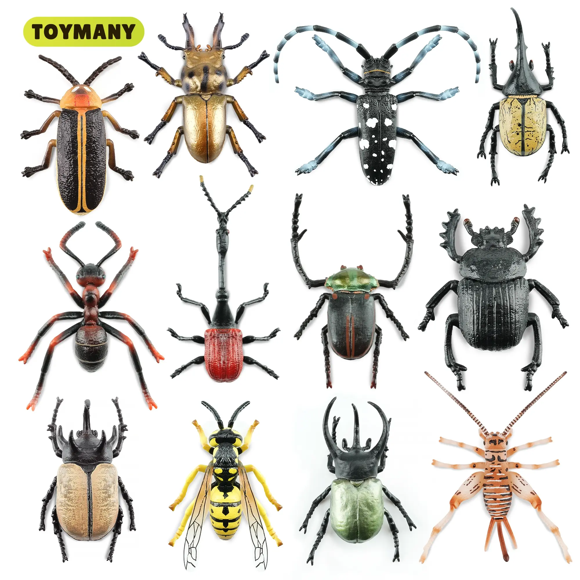 TOYMANY 12PCS Unisex Realistic PVC Plastic Solid Insect Figurines Set - Age 3+ Educational Toys for Kids, Collectibles with Ladybug, Mantis, Stag Beetle, Scarab, Beetle Figures, Mini Figurines Animals, Collectible Animals, Hercules Beetle