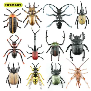 TOYMANY 12PCS Unisex Realistic Look Insect Figurines - Age 3+ Educational PVC Plastic Solid Figures Set for Kids, Collectibles with Ladybug, Mantis, Stag Beetle, Scarab, Beetle Figures,summervibes