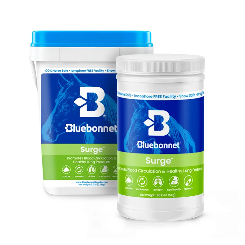 Surge - Circulation, Nutrient Delivery, Breathing, Allergy, Hoof Health Support for Horses
