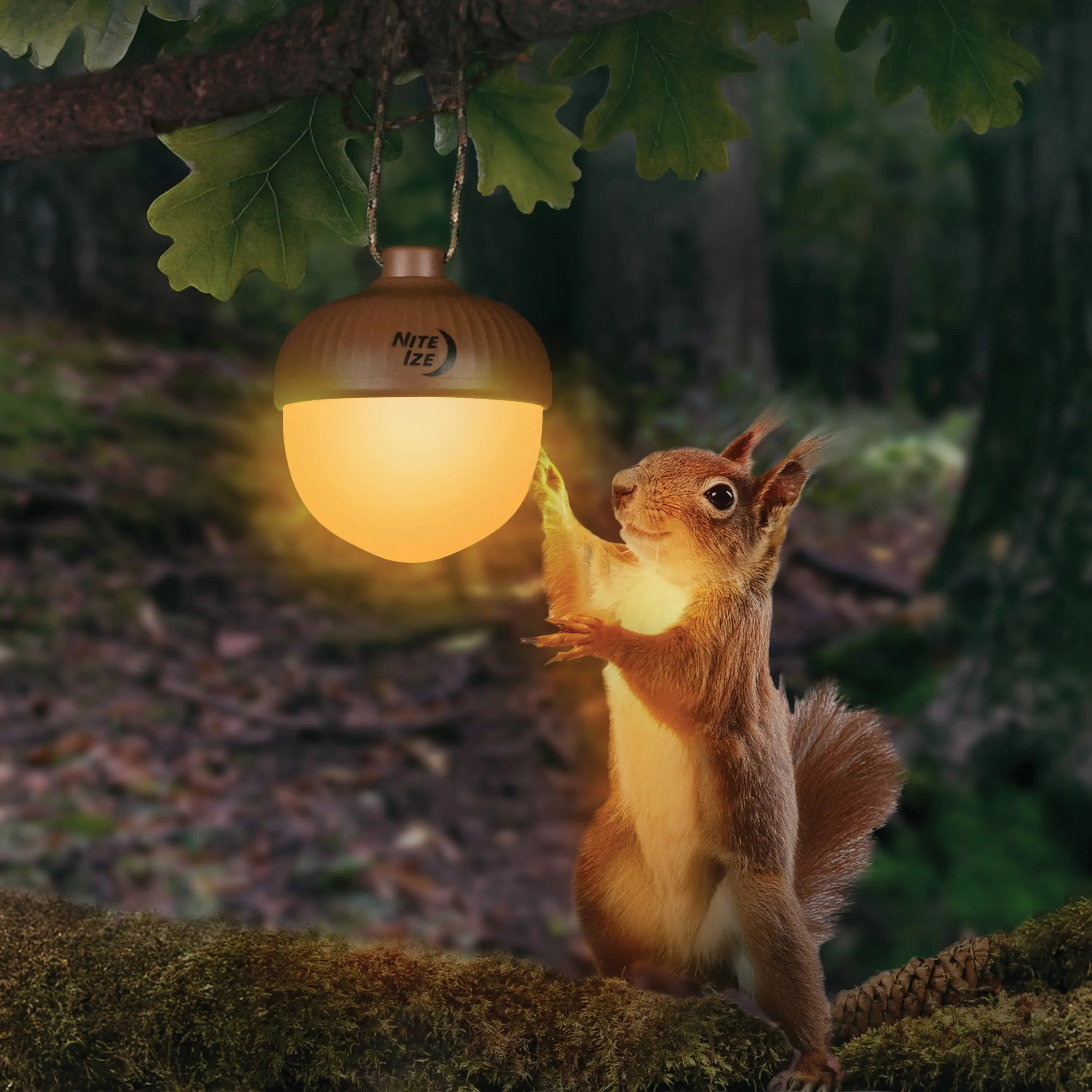 Radiant™ NutLit™ USB-C Portable Cordless Rechargeable Lantern - Camping Light, Color-Adaptive Ambient Lighting, Dimmable Decorative Lamp with Glow and Hang Feature for Home & Outdoor Use