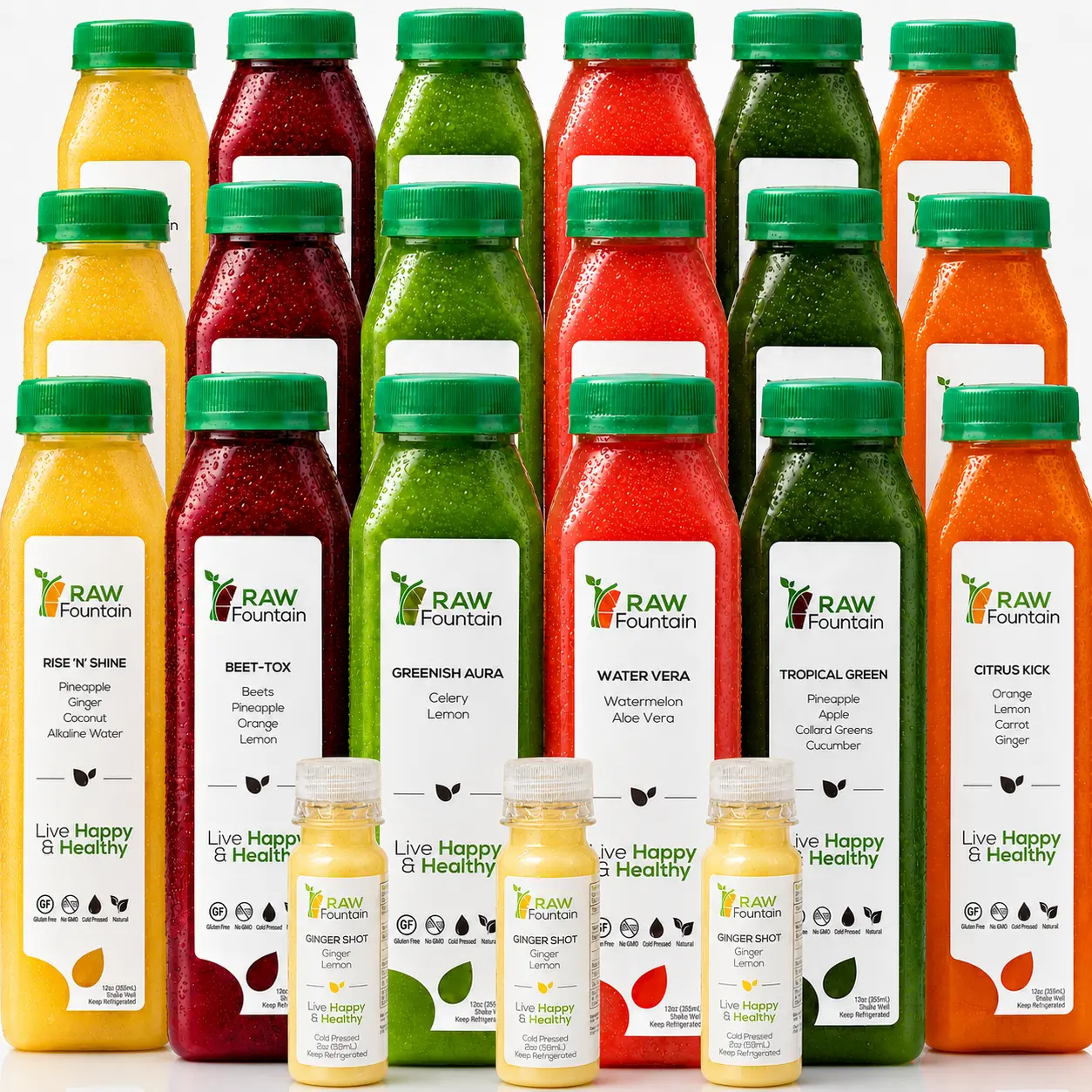 5 Day Juice Cleanse by RAW Fountain, Tropical Flavor, All Natural Raw, Cold Pressed, Detox Cleanse, 30 Bottles 12oz, 5 Ginger Shots 2oz