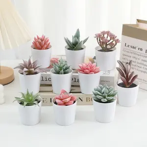Mini Realistic Succulent Plant Pot, Flower Pot Fake Greenery, Artificial Plant Decor, Home Decor Desktop Decoration, Photography Prop Office Healing Ornament