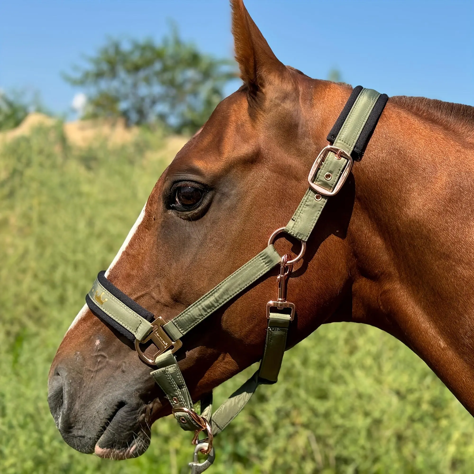 Horse Halter, Adjustable Fit Horse Head Collar with Soft Pading, Noseband, Glossy Horse Halter, Equestrian Supplies for Horse Riding