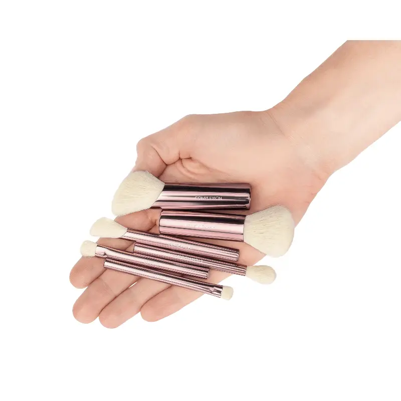 Jenny Patinkin Mini Travel Babies Makeup Brushes Set - 6 Petite Face & Eye Brushes with Vegan Pink Storage Case, Dainty Soft Bristle High Quality Pocket-Size Portable Kit for Women, Dainty Brush Sets & Kits