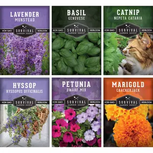 6 Pest Defense Herb & Flower Seeds - Repel Garden Pests Naturally