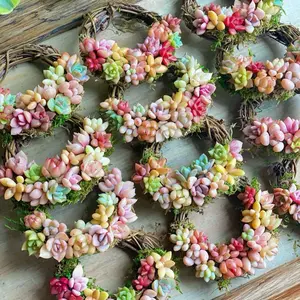 3” Mini Succulent Wreath | Dried Grapevine Ring with Real Succulents | Colorful Living Decor | Gift or Party Favor