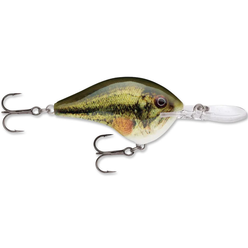 Live Largemouth Bass