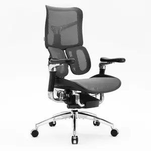 SIHOO Doro S300 Ergonomic Office Chair with Dual Dynamic Lumbar Support, 6D Armrests & Headrest, Mesh Desk Chair for Home Office summerwins