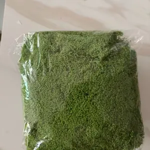 Realistic Artificial Moss Pack, Durable Plastic Indoor Outdoor Decor, Indoor Faux Plant, Suitable for Glass Containers, Pots, Landscaping, Easy Installation, Artificial Plants
