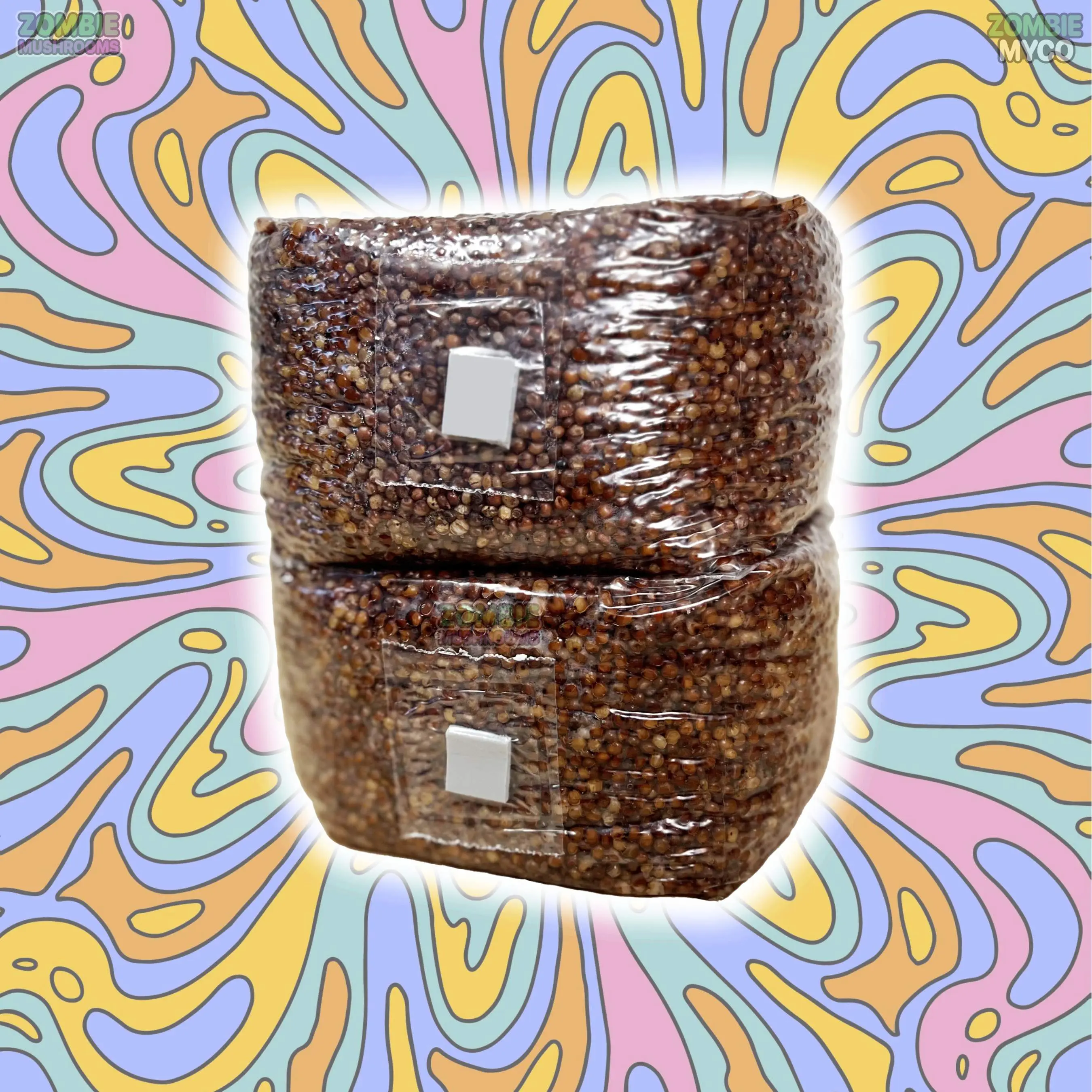 Grain Spawn Bags 6lb ( 2x ) - Sterile Grain Spawn