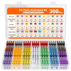 300Pcs Car Fuse Assortment Kit, 160 Mini + 90 Standard + 50 Micro Blade Fuses with Fuse Puller, 2A-40A Auto Fuse Replacement for RV Camper Boat Truck Car Charger Car Battery Charger