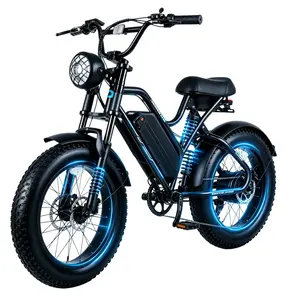 1000W Peak Electric Bike for Adults, 35MPH Fast Speed, 48V15.6Ah Removable Battery, 20"x4.0" Fat Tire Ebike, 50 Miles Range Off-Road