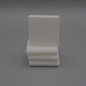 Blank Children's Book Chips for Book Trophies