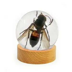 Real Wasp in Resin Globe with Stand – Nature-Inspired Decorative Art Sculpture, Entomology Collectible & Home Decor Ornament, Unique Gift for Bug Lovers desk decor ornament